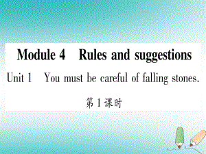 九年級英語下冊 Module 4 Rules and suggestions Unit 1 You must be careful of falling stones習(xí)題 （新版）外研版