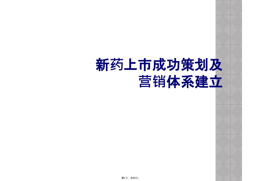 新药上市成功策划及营销体系建立_第1页