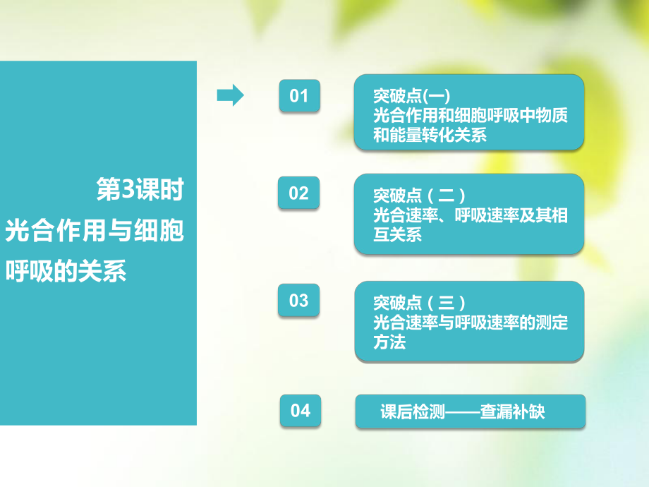 生物第1部分 分子與細胞 第三單元 細胞的能量供應和利用 第3講 第3課時 光合作用與細胞呼吸的關系_第1頁