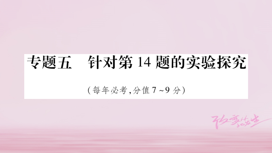 化学总第二部分 题型 5 实验探究_第1页