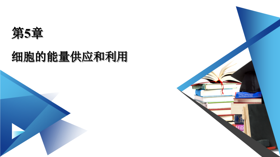 人教版新教材《光合作用與能量轉(zhuǎn)化》課件2_第1頁