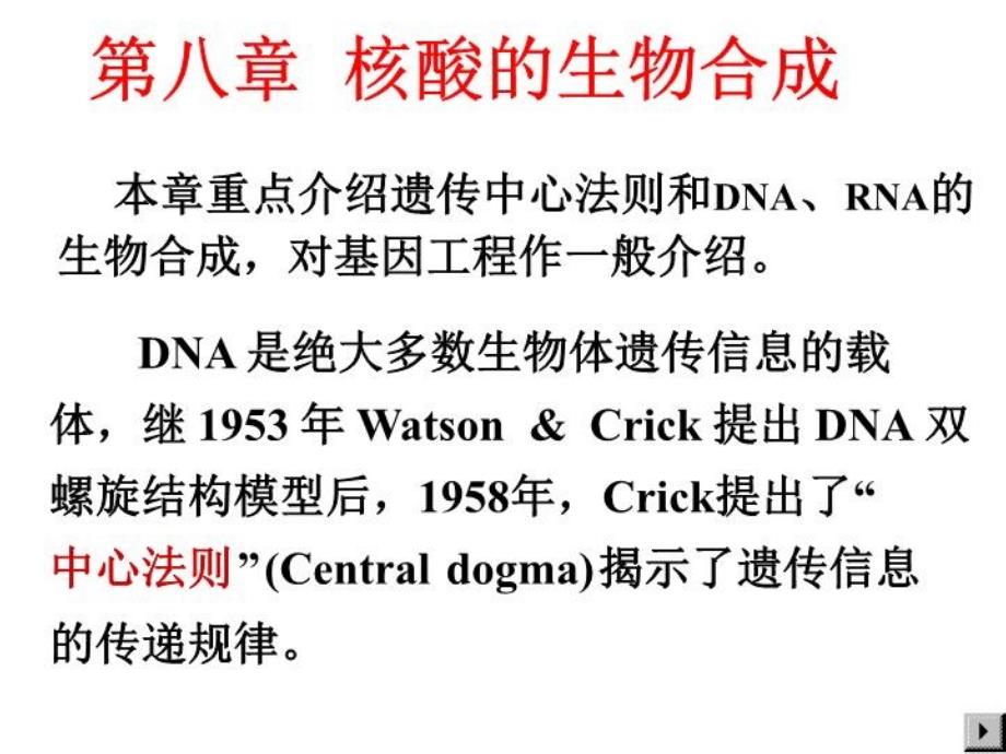 大学教程DNA的生物合成课件_第1页