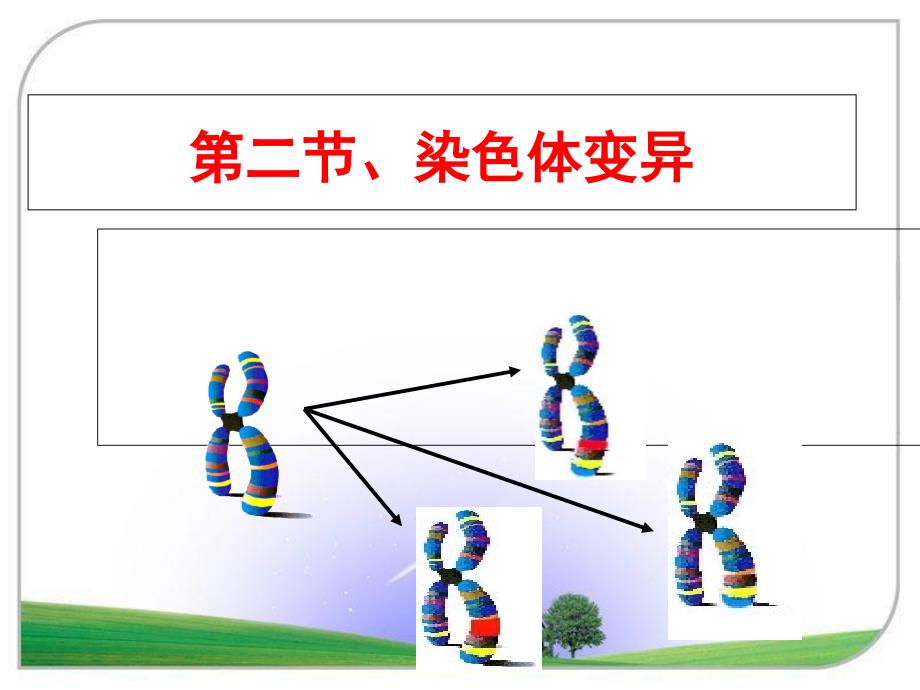 《染色体变异》(获奖课件)--优质课_第1页