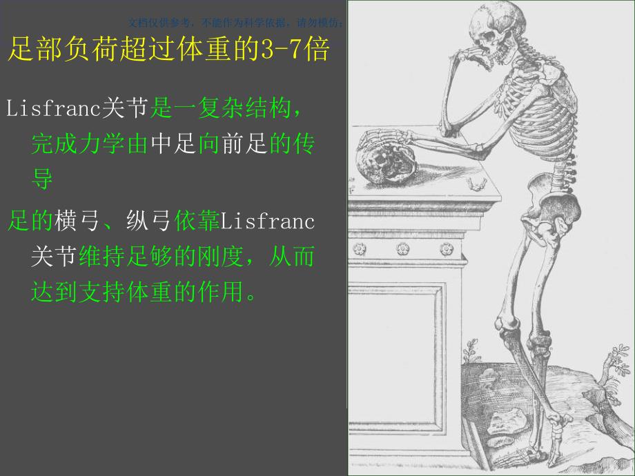 Lisfrance关节损伤课件_第1页