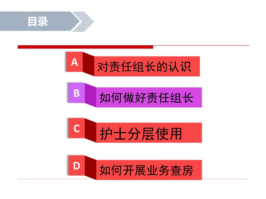 责任护理组长课件_第1页