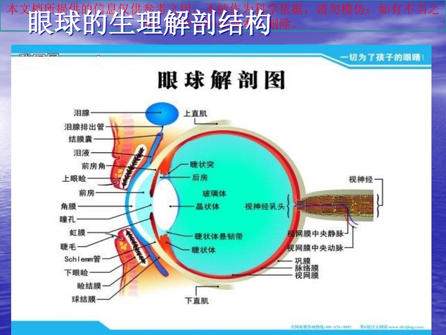 近视的形成和危害培训课件_第1页