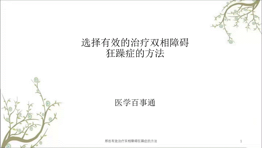 那些有效治疗双相障碍狂躁症的方法课件_第1页