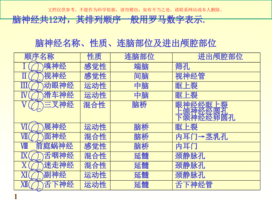 脑神经周围神经系统培训课件_第1页