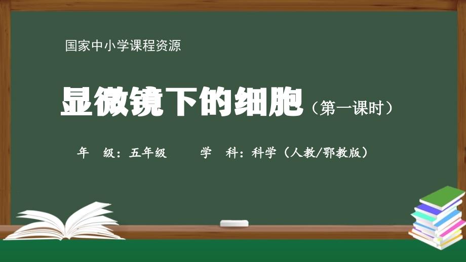 人教版五年级科学上册《显微镜下的细胞》ppt课件(第一课时)_第1页