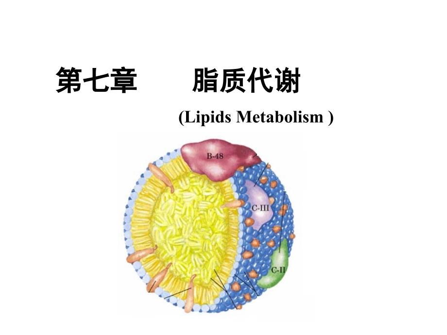 生物化学-脂质代谢课件_第1页