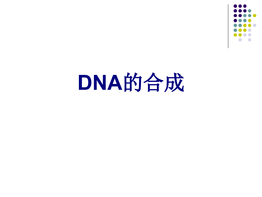 DNA的合成课件_第1页