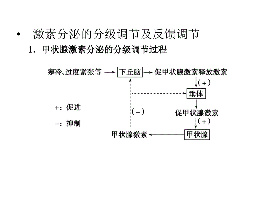 动物生命活动调节2_第1页