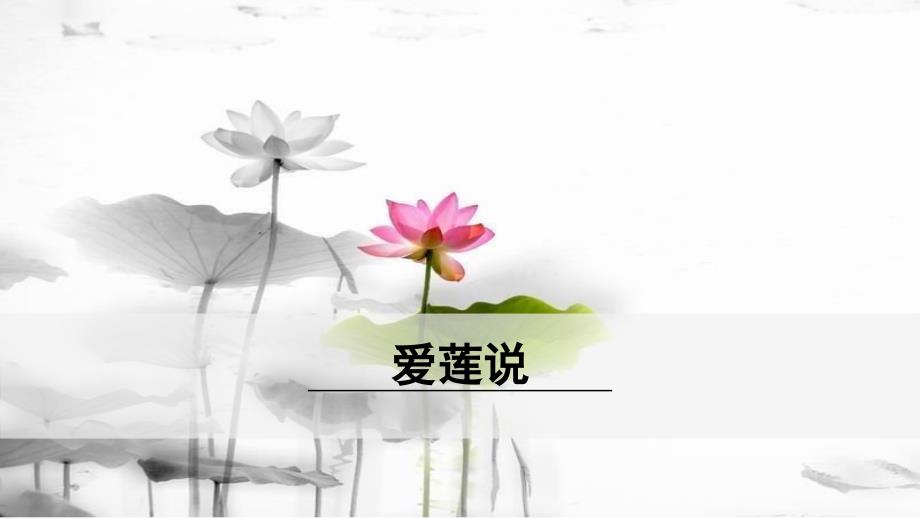 部编人教版七年级下册语文《爱莲说》ppt课件_第1页