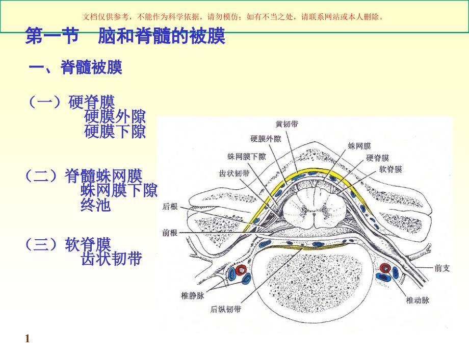 脑脊髓被膜和血管培训课件_第1页