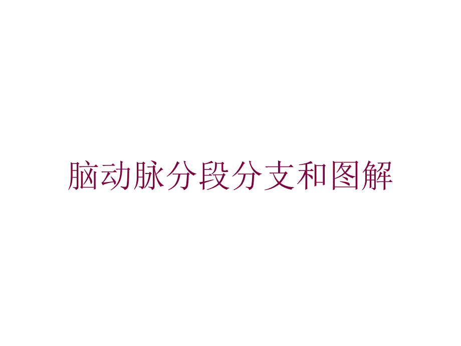 脑动脉分段分支和图解培训课件_第1页