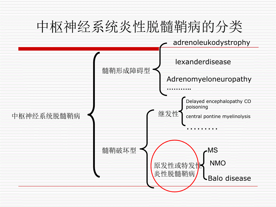 视神经脊髓炎及谱系病主题讲座课件_第1页