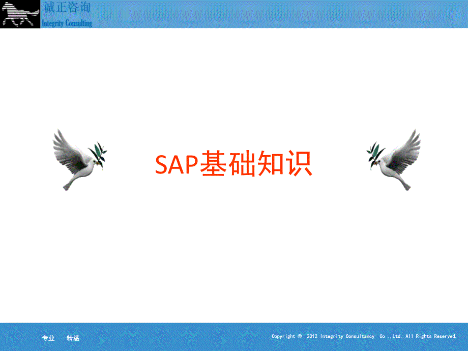 SAP基础知识交流学习_第1页