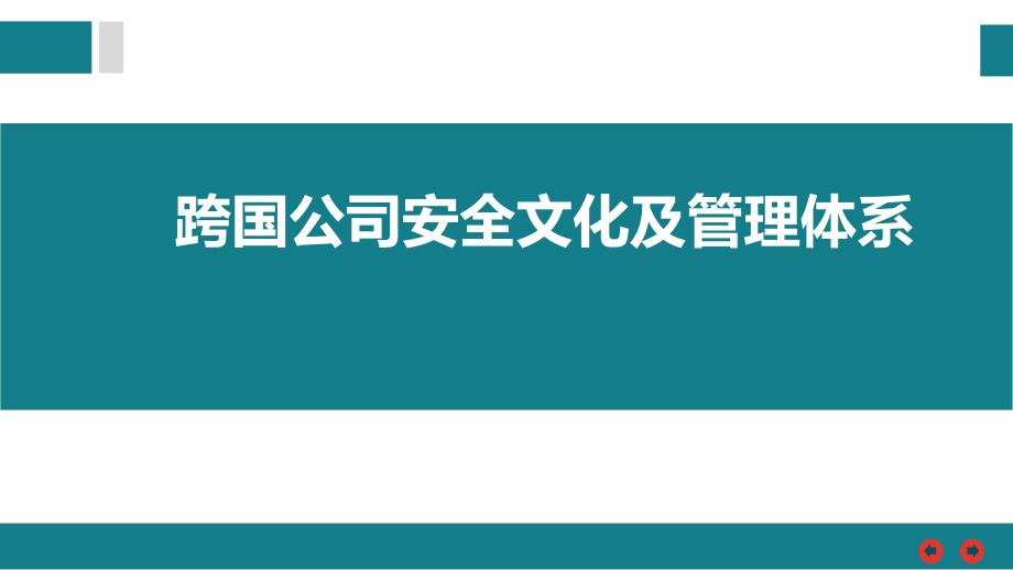 跨國公司安全文化及管理體系_第1頁