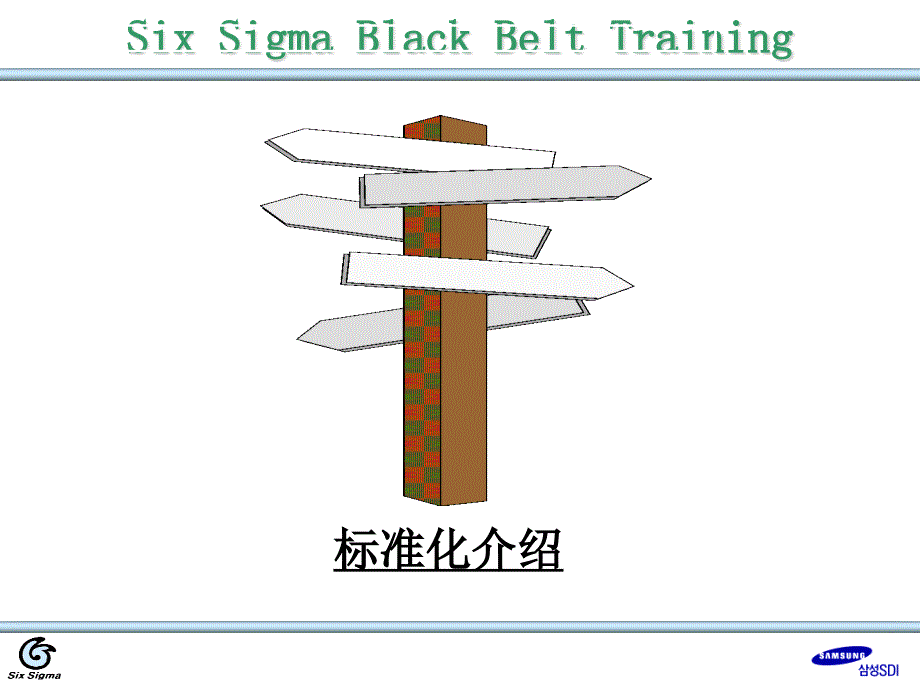 Six Sigma黑色的带子训练ppt38_第1页