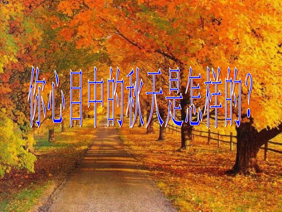 教育专题：14《秋天》课件_第1页