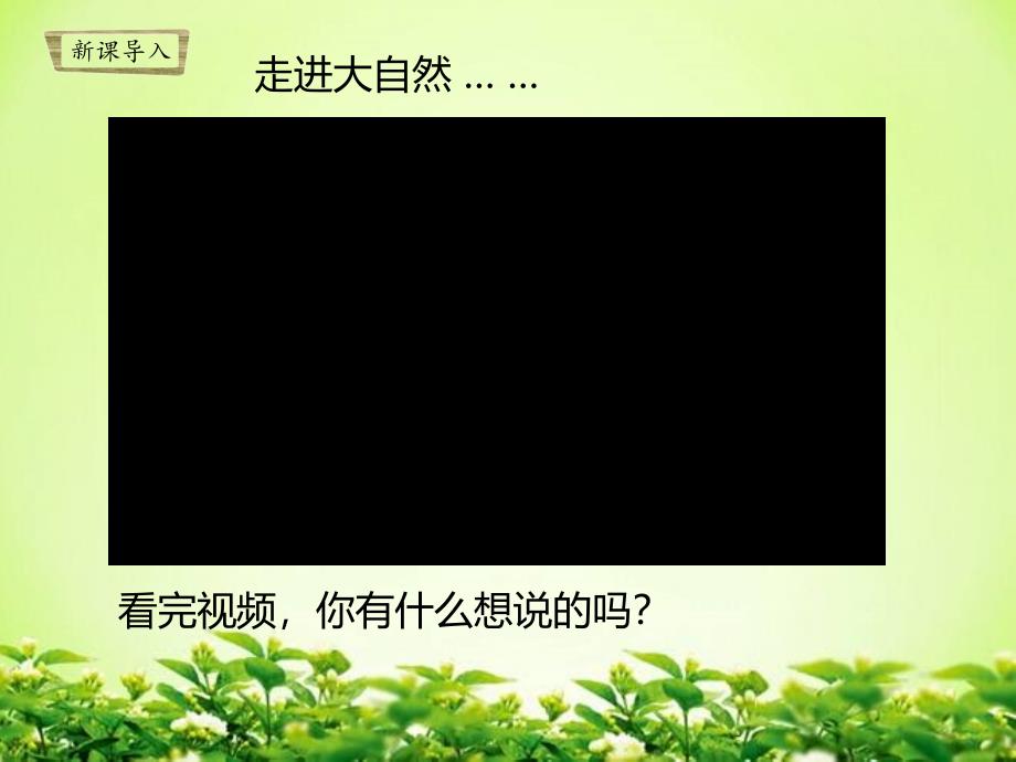 苏教版一年级科学下册专项学习《像科学家那样》ppt课件_第1页