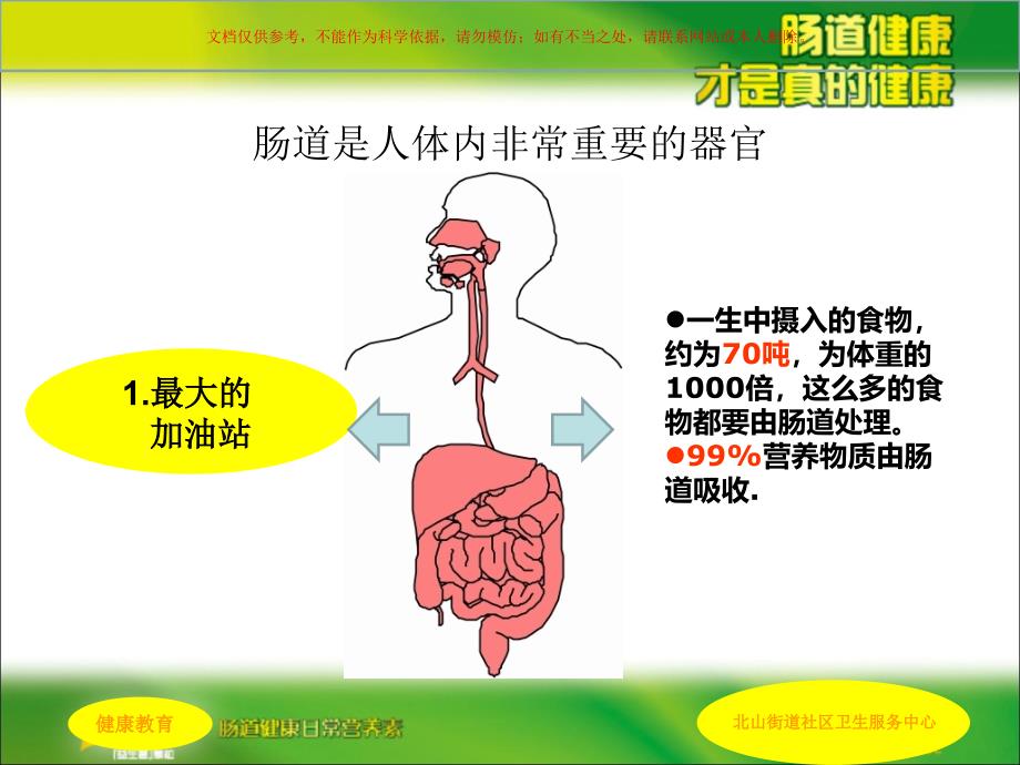 肠道健康科普讲稿课件_第1页