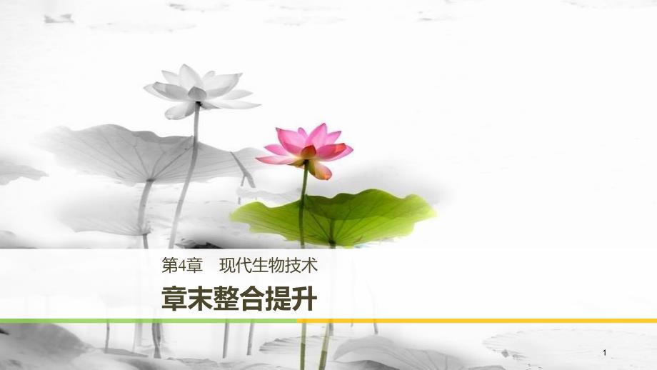 高中生物 第4章 现代生物技术章末整合提升同步备课课件 北师大版选修1_第1页