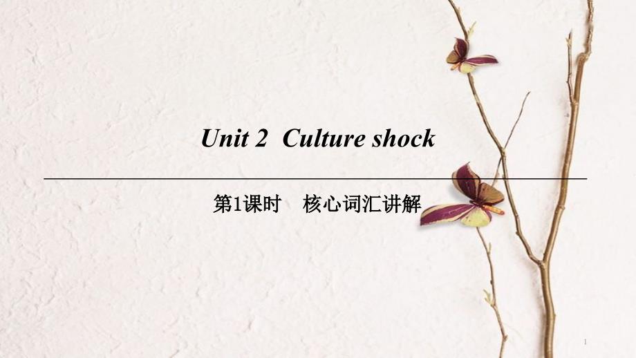 （广州沈阳通用）九年级英语下册 Module 1 Explorations and exchanges Unit 2 Culture shock（第1课时）核心词汇讲解课件 牛津深圳版_第1页