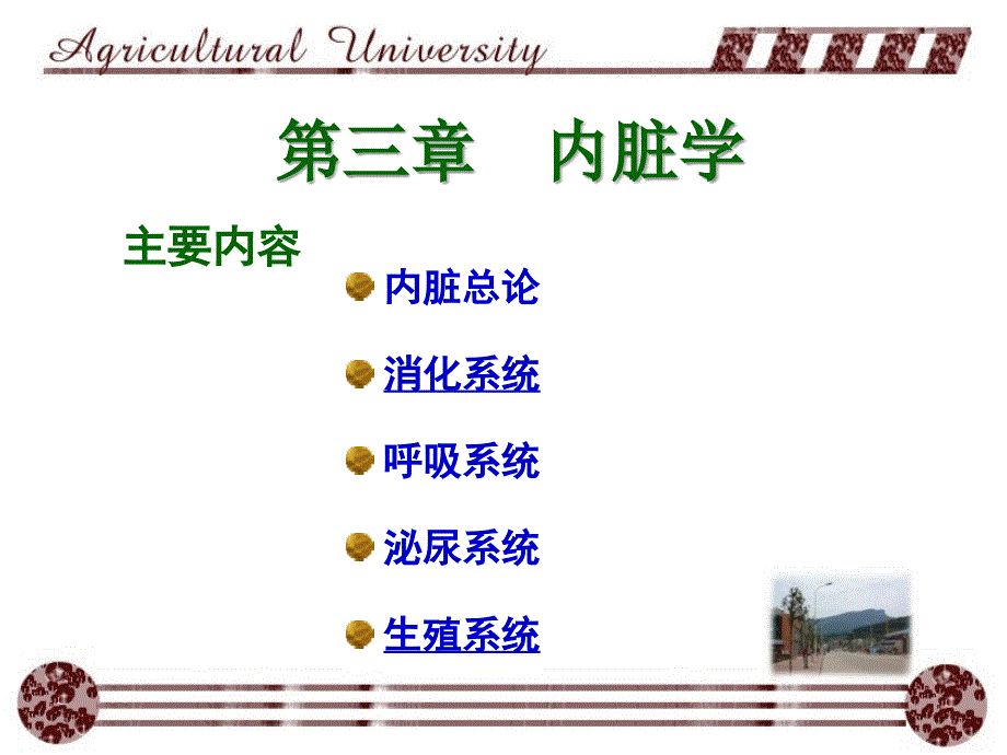 动物解剖-1内脏学-概论_第1页