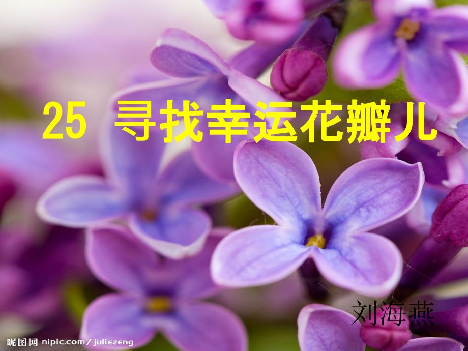 教育专题：25寻找幸运花瓣_第1页