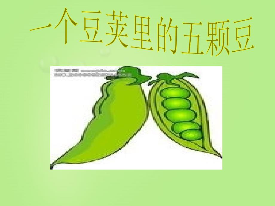 教育专题：一个豆荚里的五粒豆_第1页