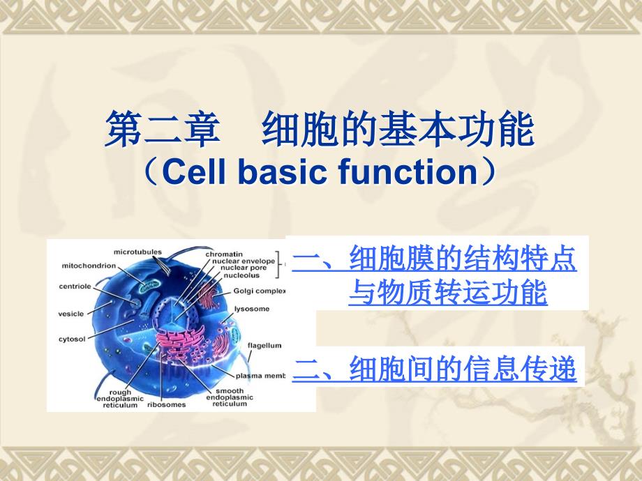 动物生理学第二章 细胞的基本功能_第1页