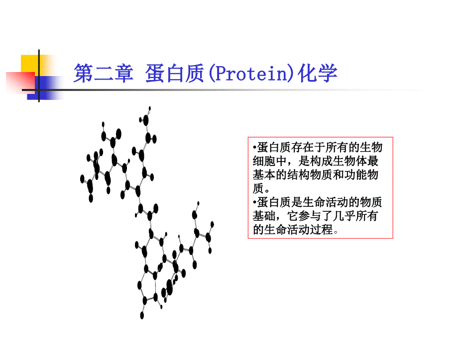 生物化学-第二章蛋白质_第1页