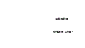 教科版小學科學新版三年級下冊科學27《動物的繁殖》課件