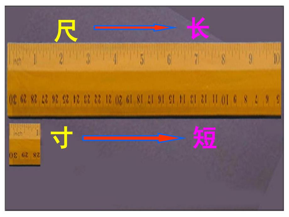 人教版四年级语文上册28.尺有所短寸有所长(精品课件)ppt_第1页