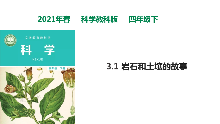 教科版四年級下冊科學31《巖石和土壤的故事》課件_第1頁