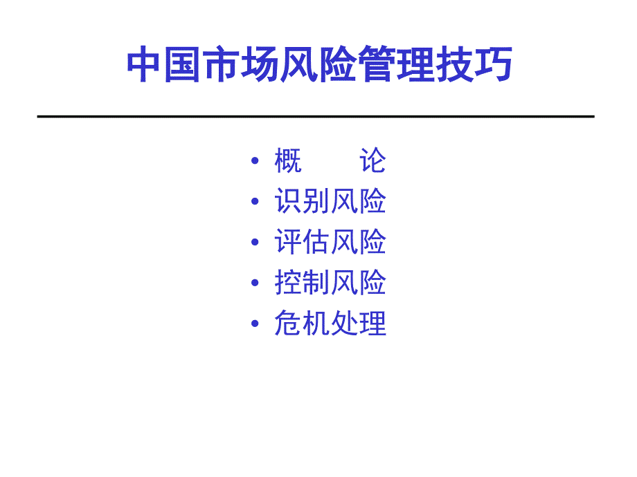 中国市场风险管理技巧bpsw_第1页