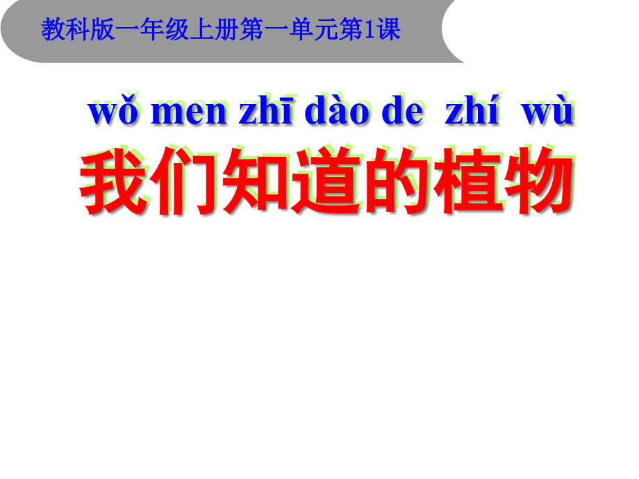 教科版小學科學一年級上冊《我們知道的植物》課件_第1頁