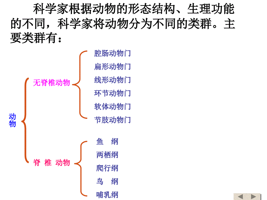 教育专题：1腔肠动物和扁形动物_第1页