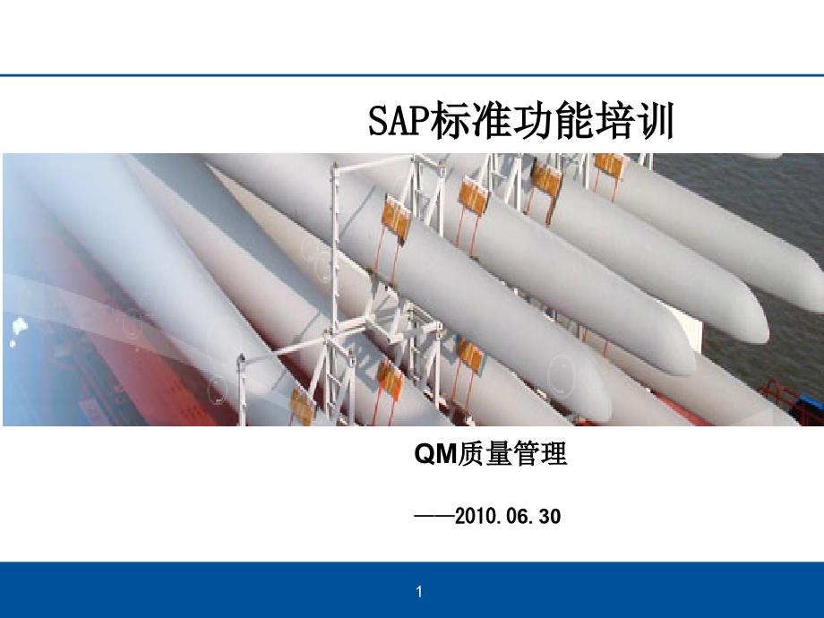 SAP-QM标准培训_第1页