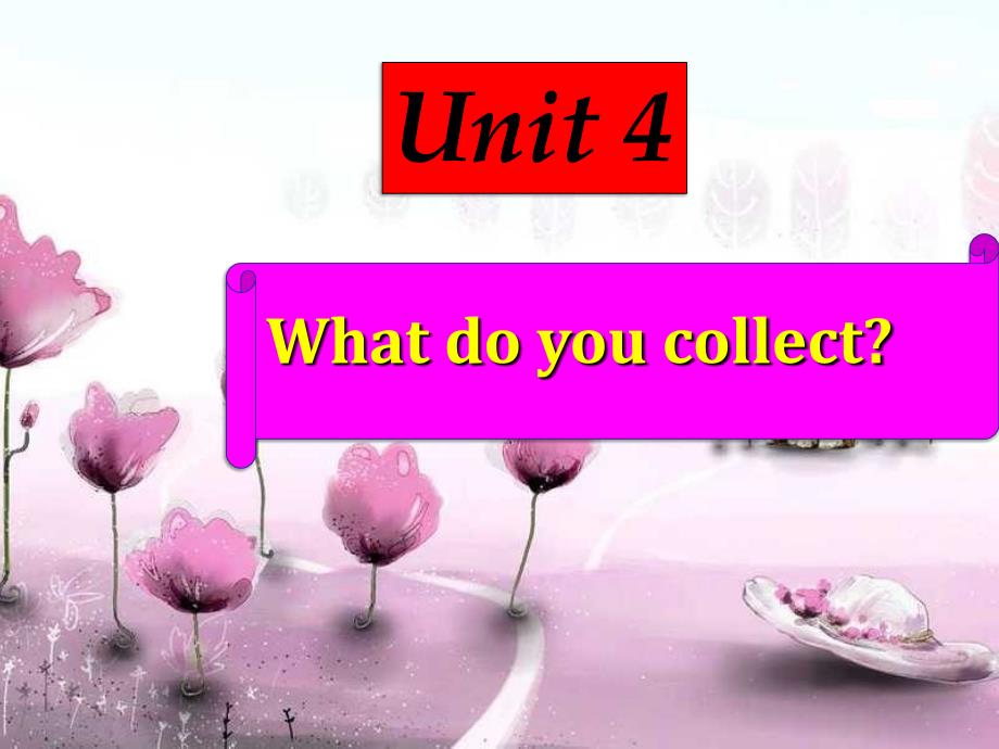 教育专题：Unit4Whatdoyoucollect课件1_第1页