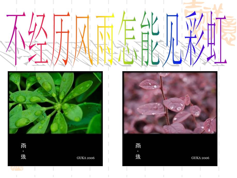 教育专题：贾平凹《风雨》_第1页