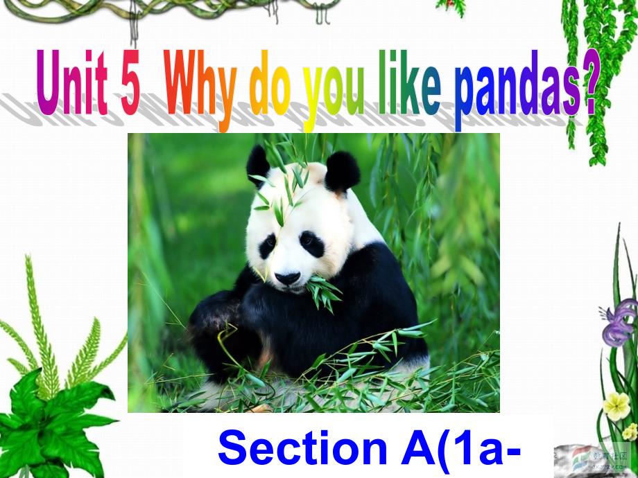 教育专题：七下Unit5SectionAwhydoyoulikePandas(1a-1c)_第1页