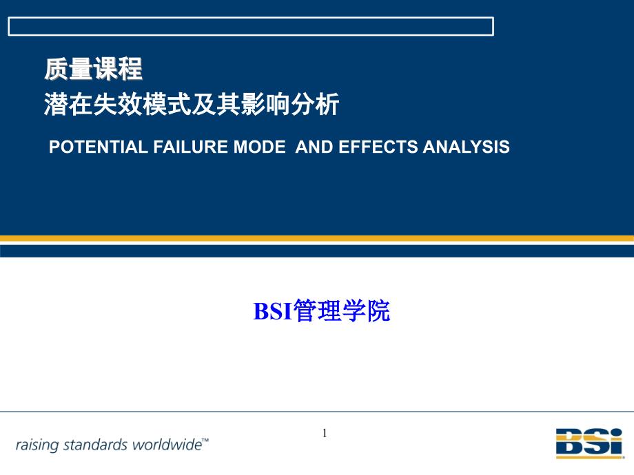 2FMEA培训教材_第1页