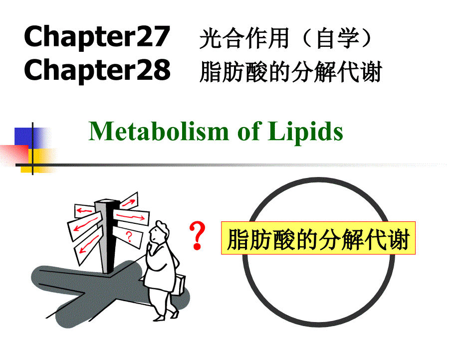 第27、28章 脂肪酸分解代谢_第1页