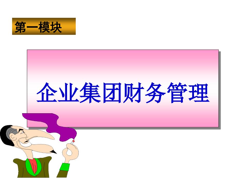 企业集团财务管理教材(PPT 175页)75139_第1页