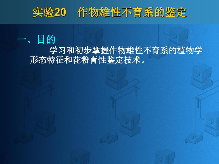 学习和初步掌握作物雄性不育系的植物学形态特征和花粉..._第1页