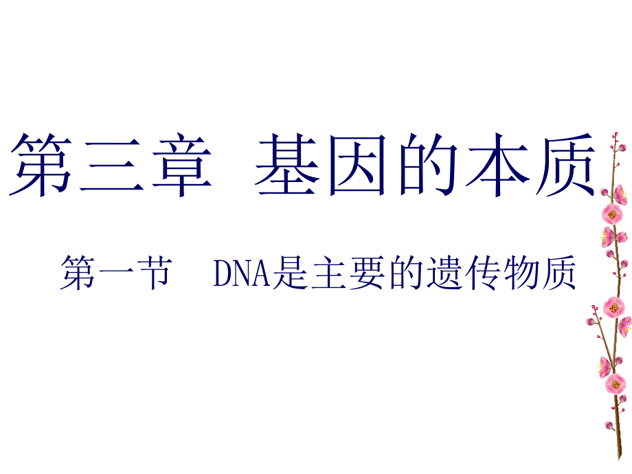 教育专题：2012_DNA是主要的遗传物质_第1页