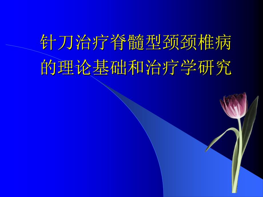 【针刀医学】-针刀治疗治疗脊髓型颈椎病的理论基础和治疗学研究ppt课件_第1页