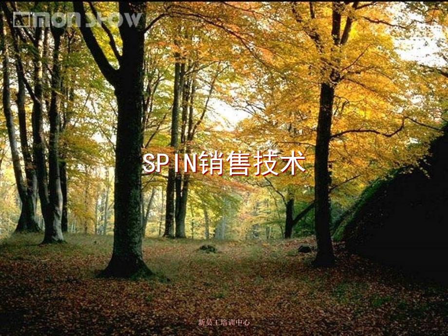 [精选]SPIN销售技术培训8737_第1页